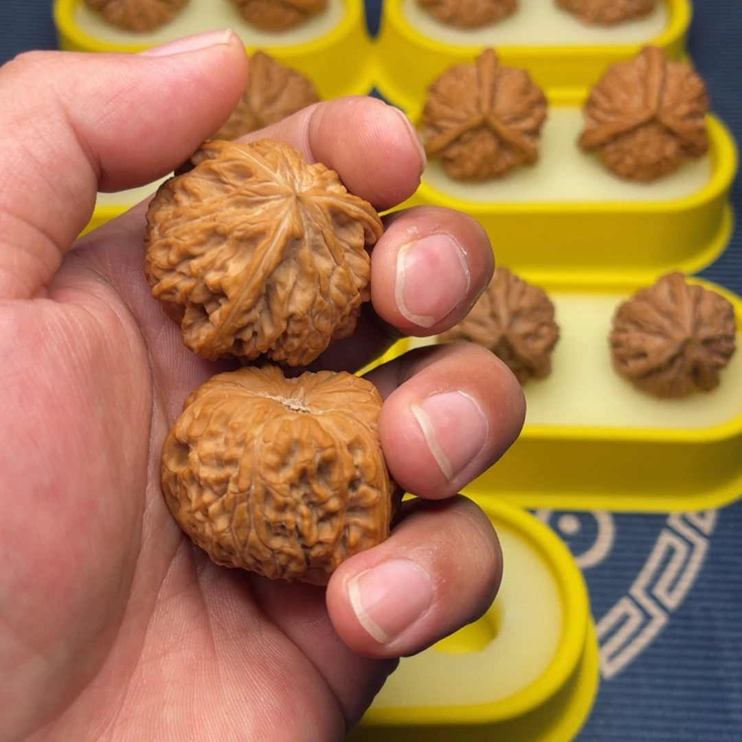 核桃手串/手链?***，玉龙粗筋全品