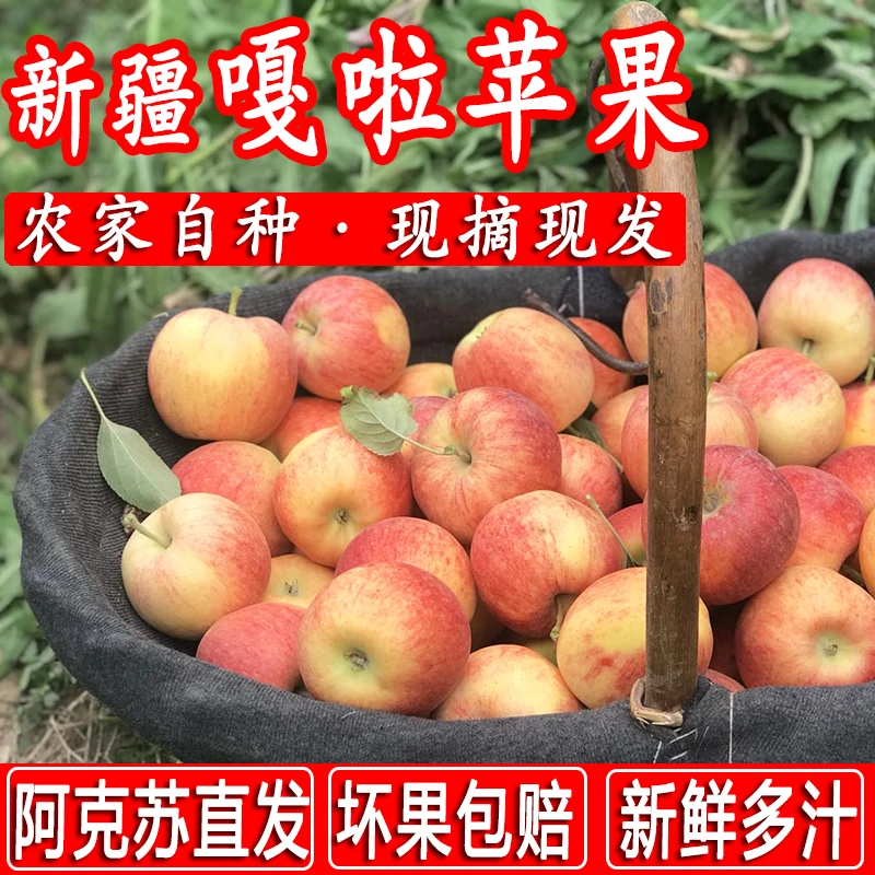 【新疆直发】新疆阿克苏嘎啦苹果自家种植新鲜产地直发4.5斤