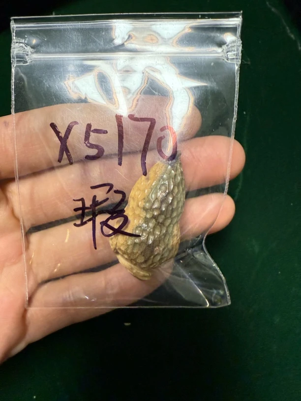 X5170猛犸雕刻配饰瑕疵