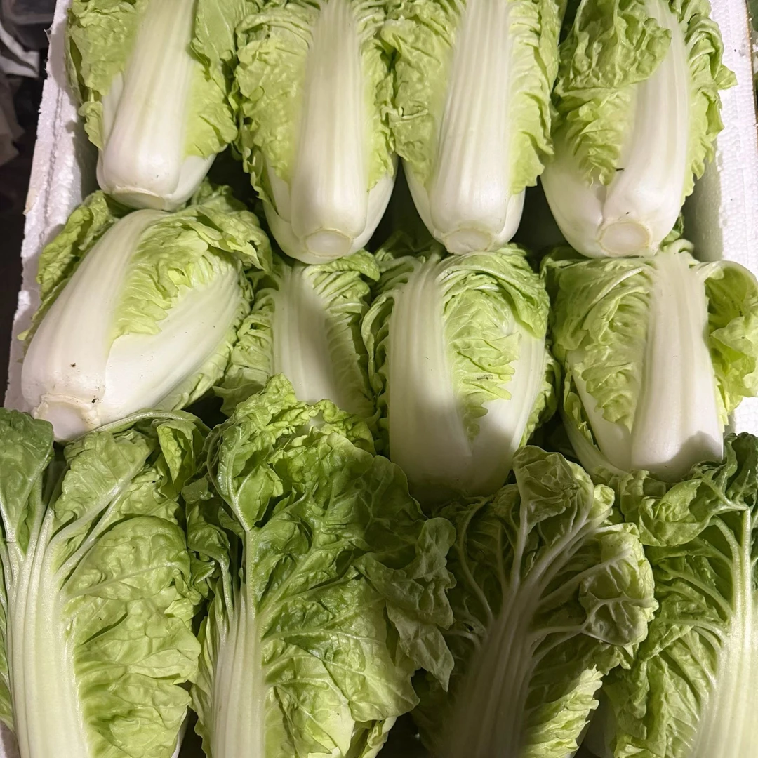 蔬菜组合优惠装-潮汕本地当季蔬菜品质高口感好省内顺丰包邮