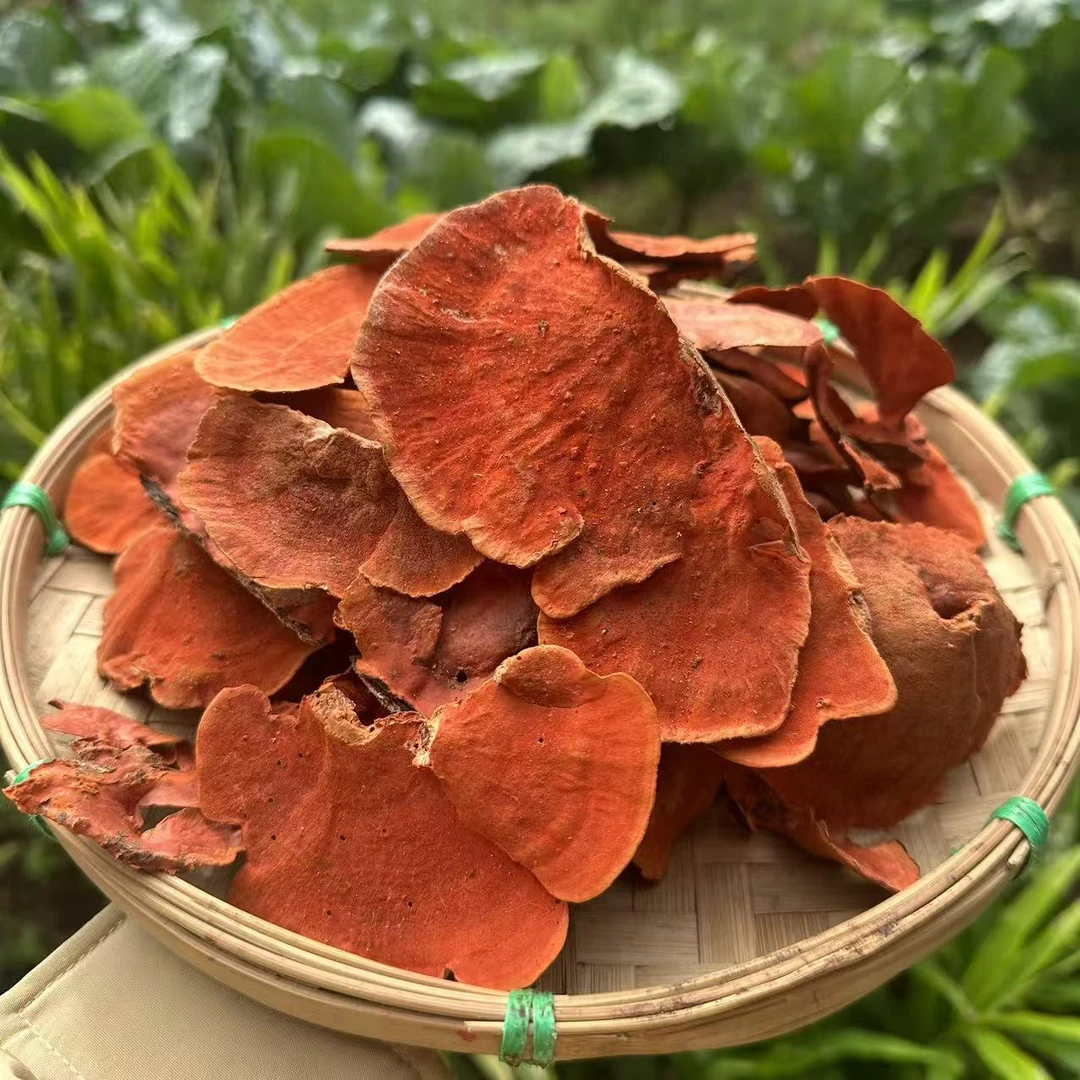 1【牛-樟-芝】净含量100ｇ－500ｇ【阿忠现收现卖】