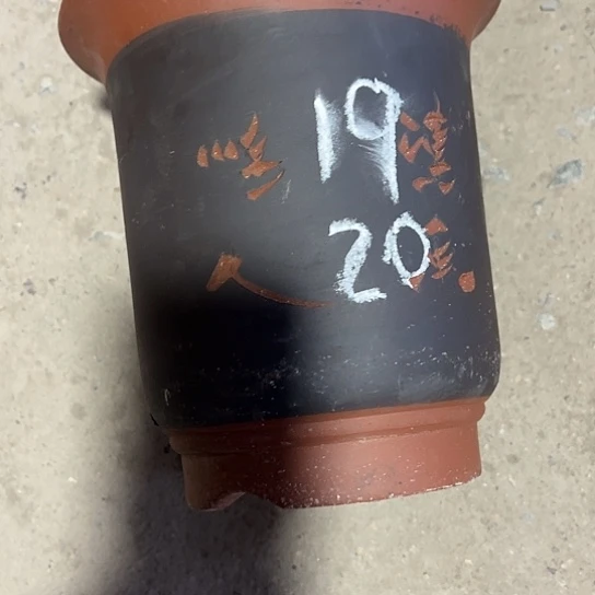 紫砂工艺厂……紫砂工艺厂……