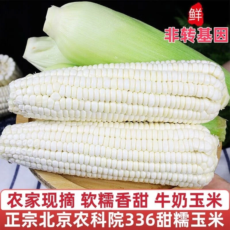 小段 云南农家自种当季新鲜白糯玉米现摘带皮甜嫩爆浆代餐高叶酸