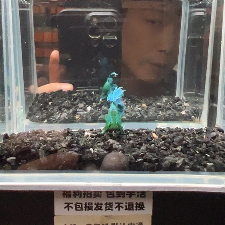 斗鱼竞拍跑单拉黑16日30
