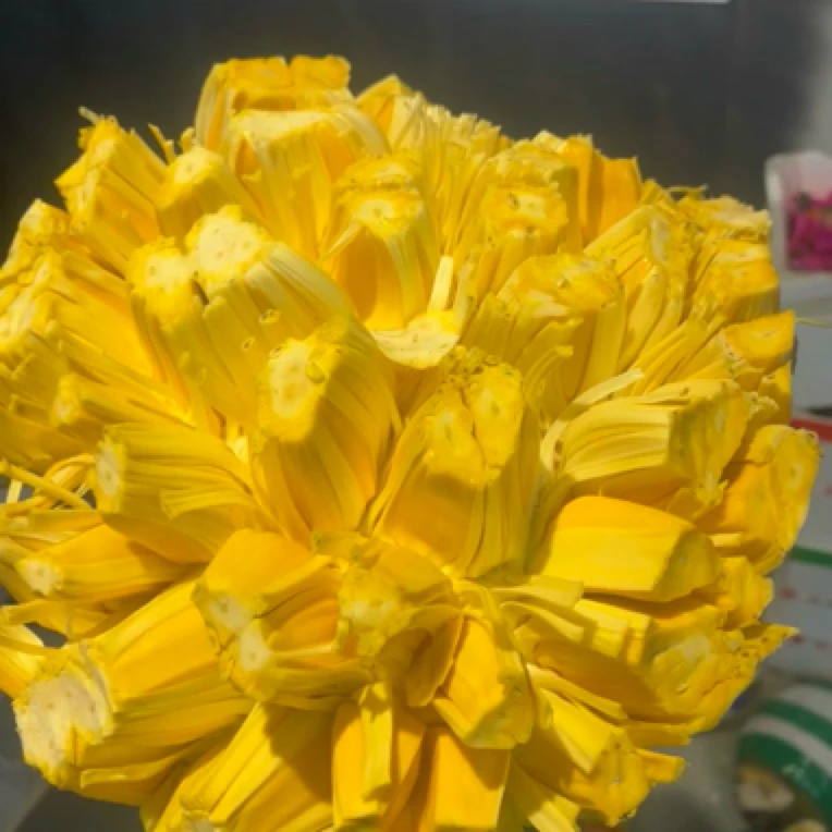 菠萝蜜大果整个