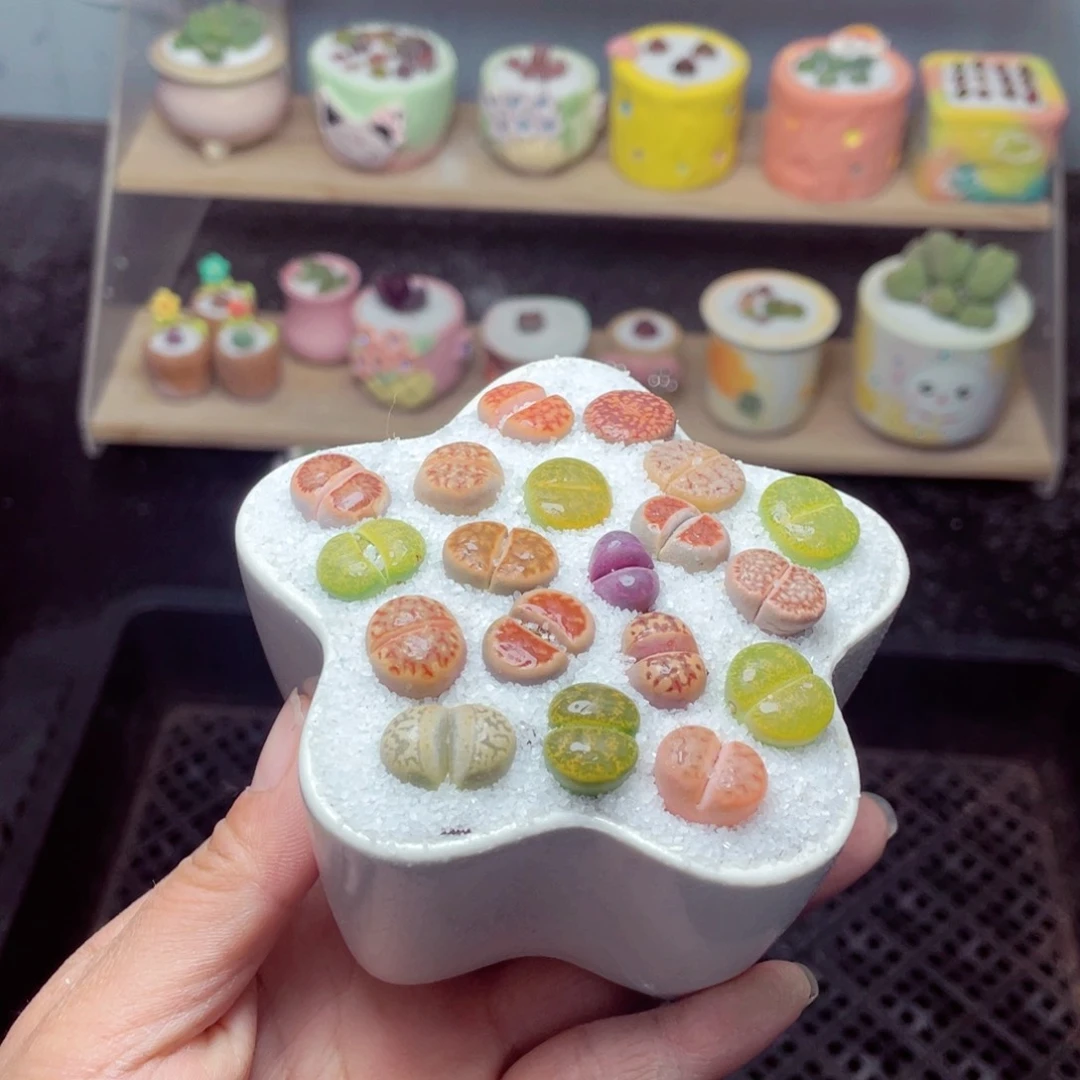 w1074 带盆土发货-零下地区拍保温箱