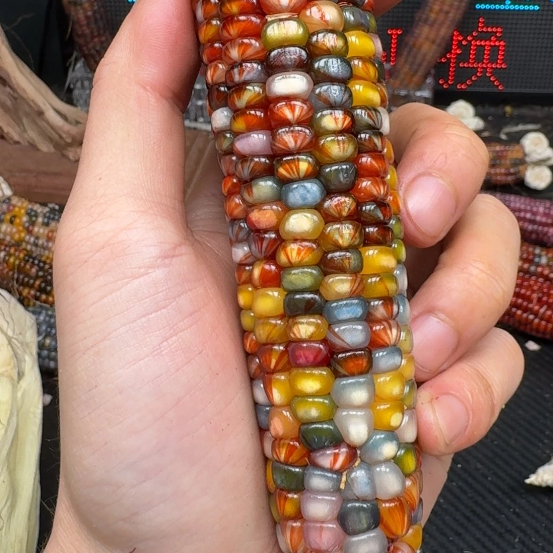 柏香籽/百香籽吊坠Q**~