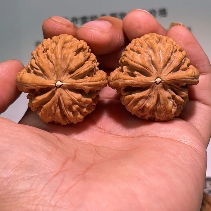 福***。把件文玩核桃37蚂蚁王