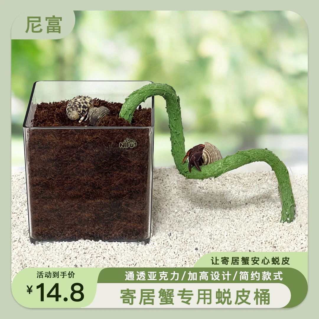 尼富寄居蟹亚克力蜕皮桶加高防打扰隔离盒攀爬椰土椰糠梯子多规格