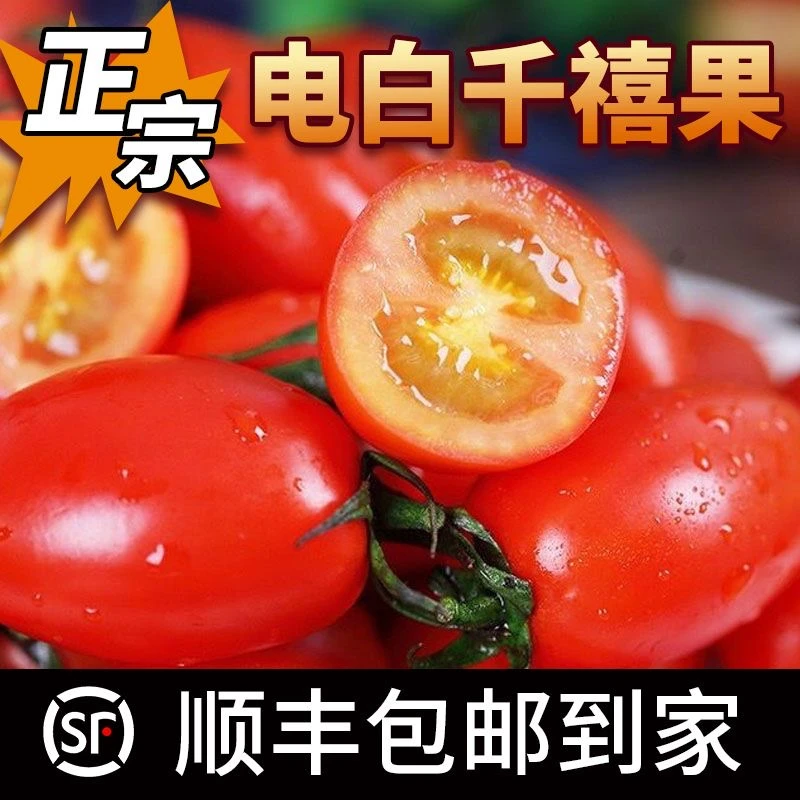 【顺丰包邮】正宗电白千禧果小番茄非圣女果孕妈爆甜爆汁代餐蔬菜