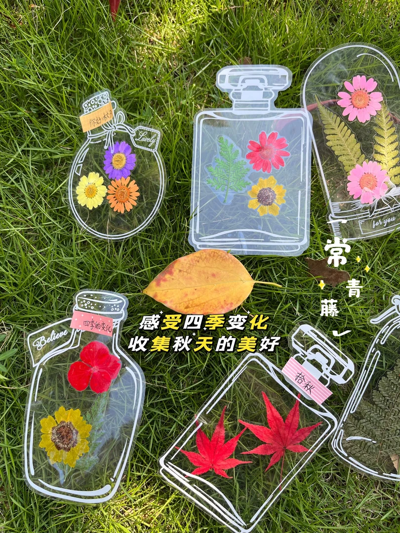 瓶子里的秋天儿童手工DIY干花书签手工制作收集秋天树叶标本书签