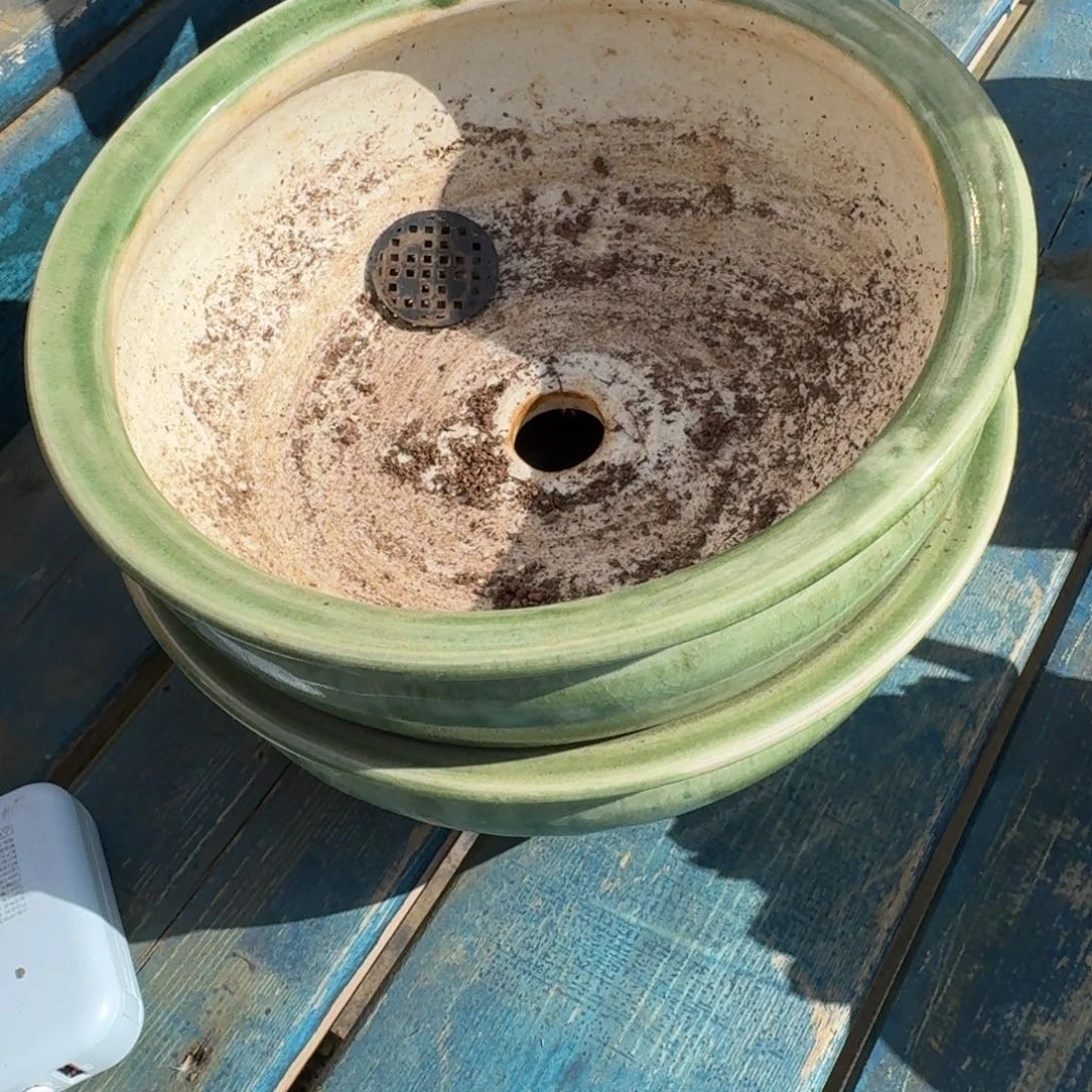 鹰***侠从前慢花园多肉编号1207.绿色盆两个