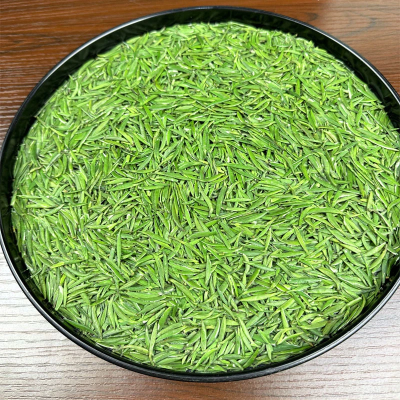 头春头采米芽雀舌2025新茶乐山马边炒青绿茶饱满肥壮芽尖免费试喝