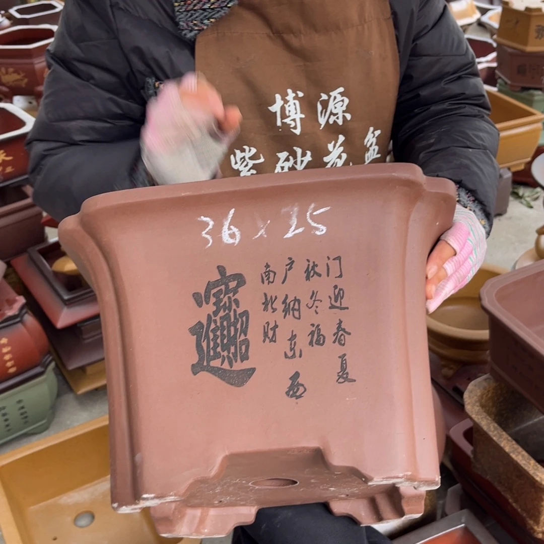花盆紫砂盆景艺术