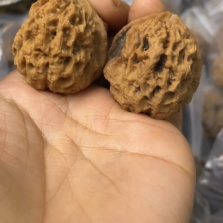 核桃云南铁核桃基地35