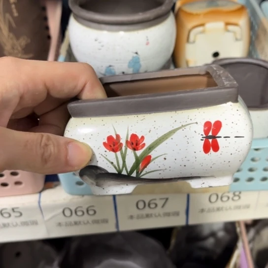 ［所有订单凑满15明天发］10×6