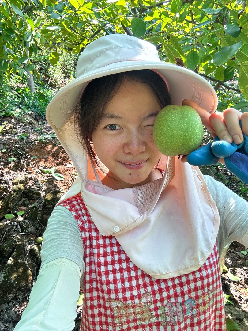 【果农直销】 四川汉源老树核桃！油香脆甜果然名不虚传！