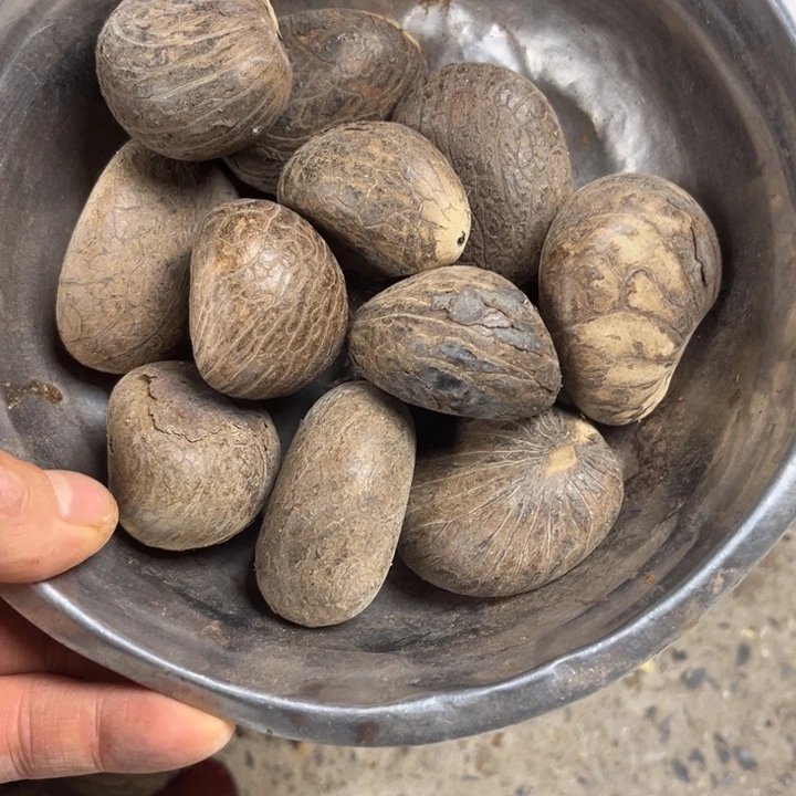 吊坠千眼菩提象牙果，15 个。