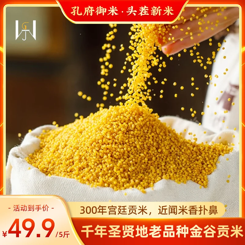 鲁都香山东黄小米新米农家自种小米小黄米粥月子米油小米五谷杂粮