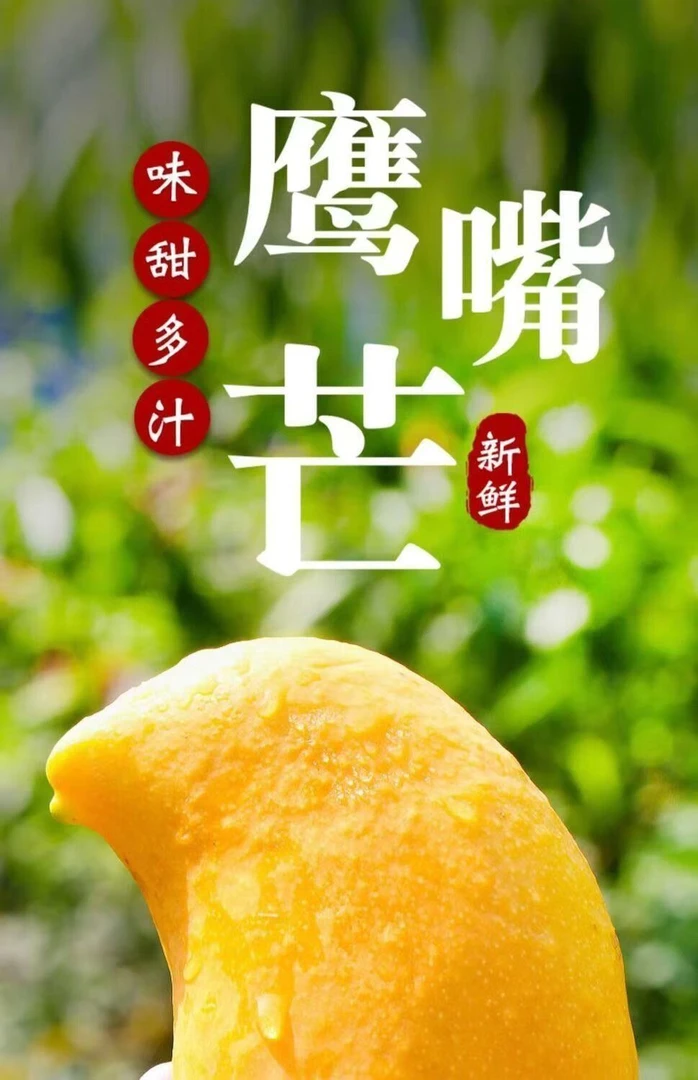 云南鹰嘴芒果新鲜当季凯特芒果水果