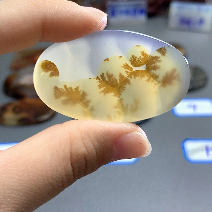 未镶嵌颈饰玛瑙/玉髓