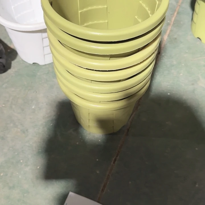编号编号编号2162