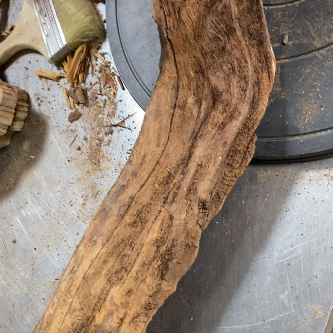 柏木海****3我们都是好孩子