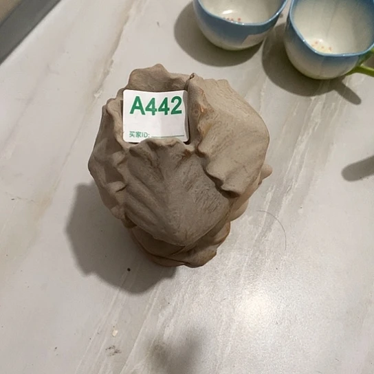 陶瓷材料研究中心紫砂
