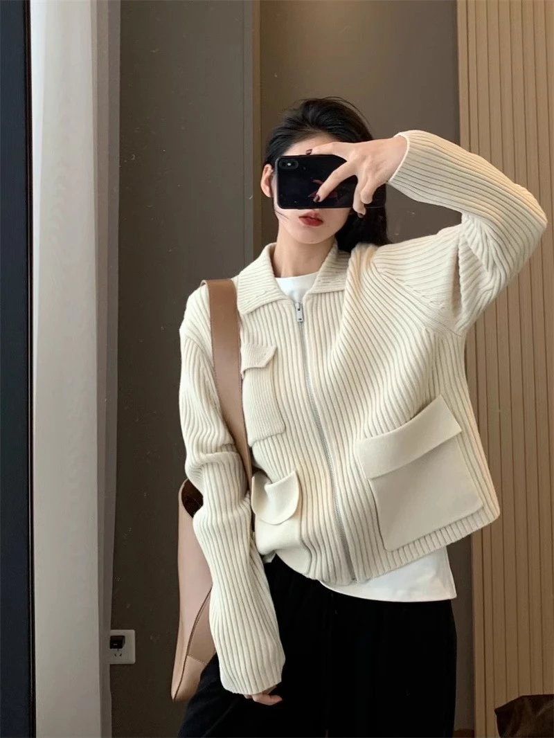 韩版女装韩系别致chic高级感毛衣外套女小个子绝美拉链针织开衫
