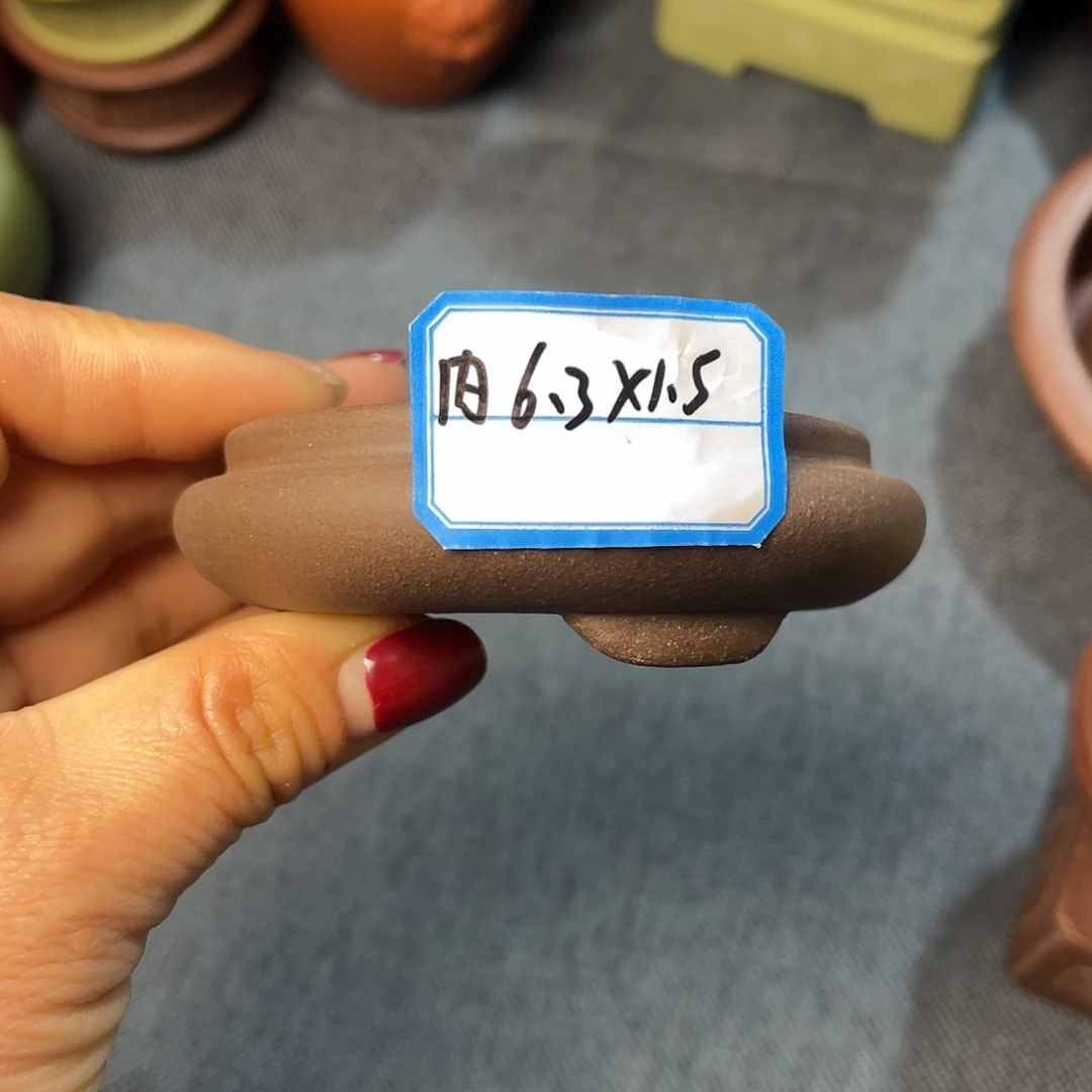 精选紫砂小浅圆盆