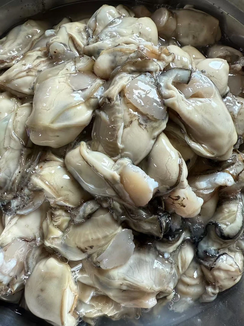 【杏树屯生蚝】中大号海蛎肉-三斤顺丰包邮