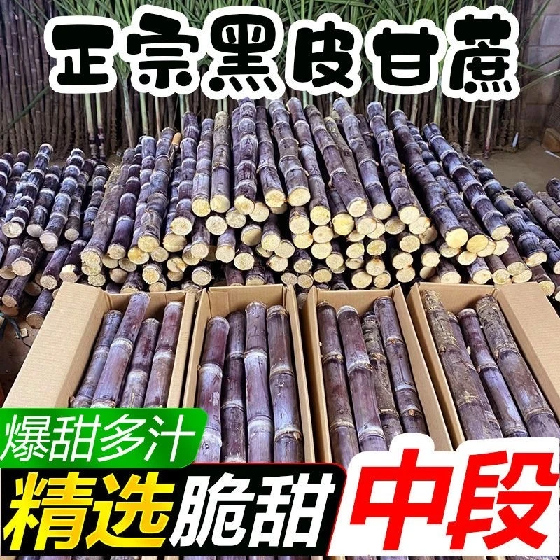 广西黑皮甘蔗水果甘蔗新鲜孕妇中段脆甜水果当季甜杆整箱青皮黑皮