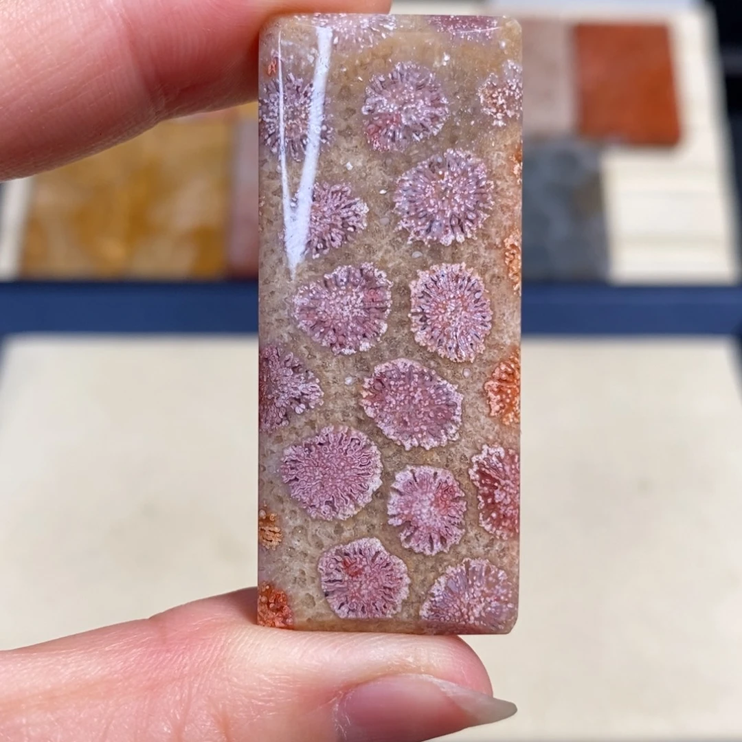 硅化玉未镶嵌吊坠