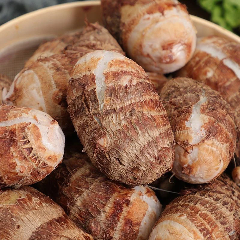 【南县特产】毛芋头新鲜蔬菜芋头香糯香芋软糯小芋头芋奶芋子毛芋头