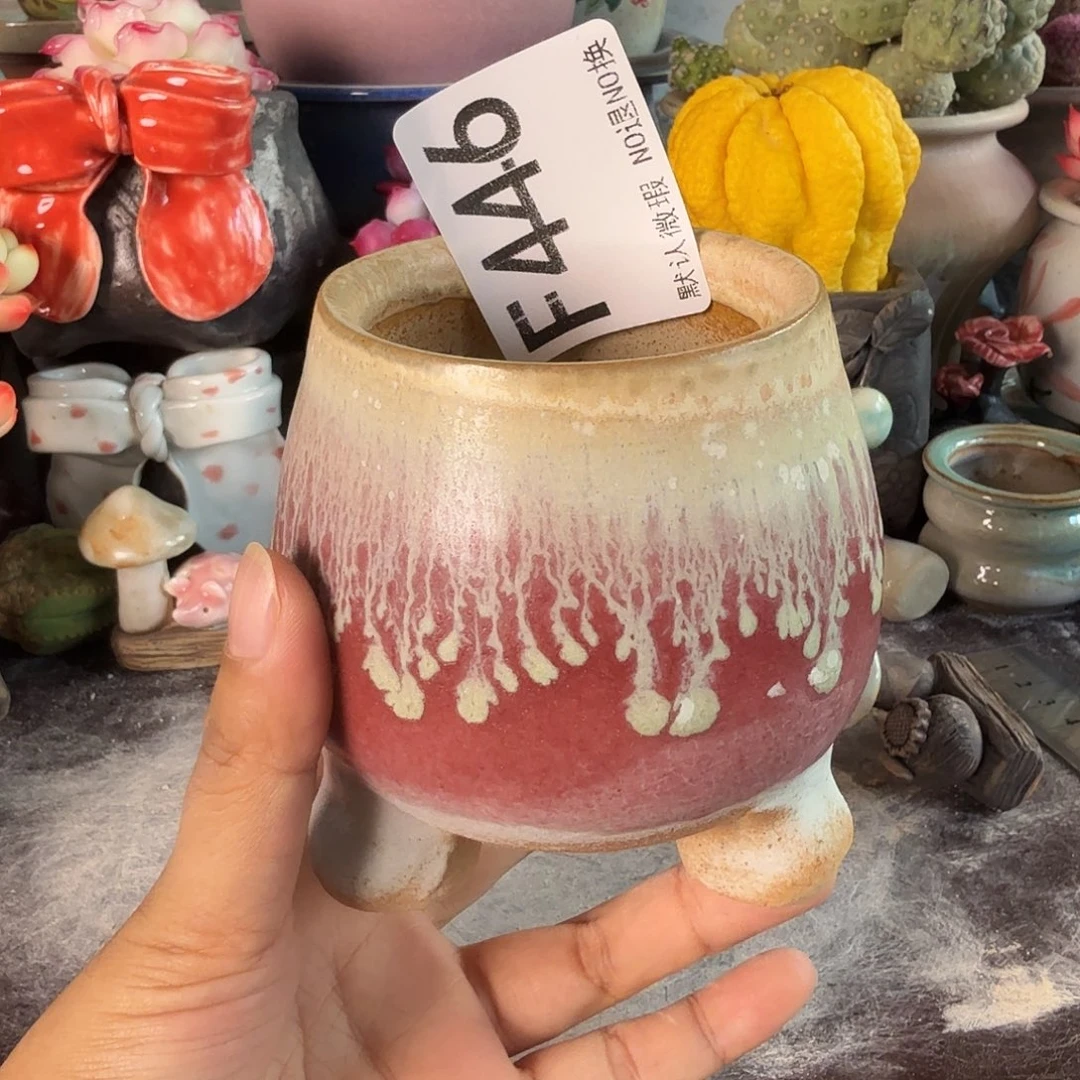 重庆小燕子欢迎大家446