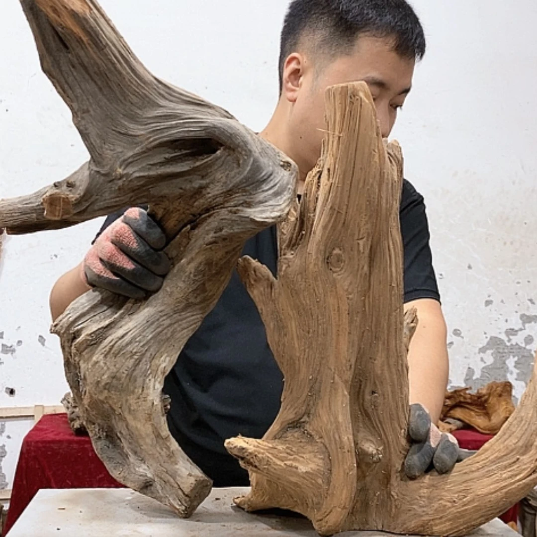 【闪购商品】柏木蓝*我们都是好孩子