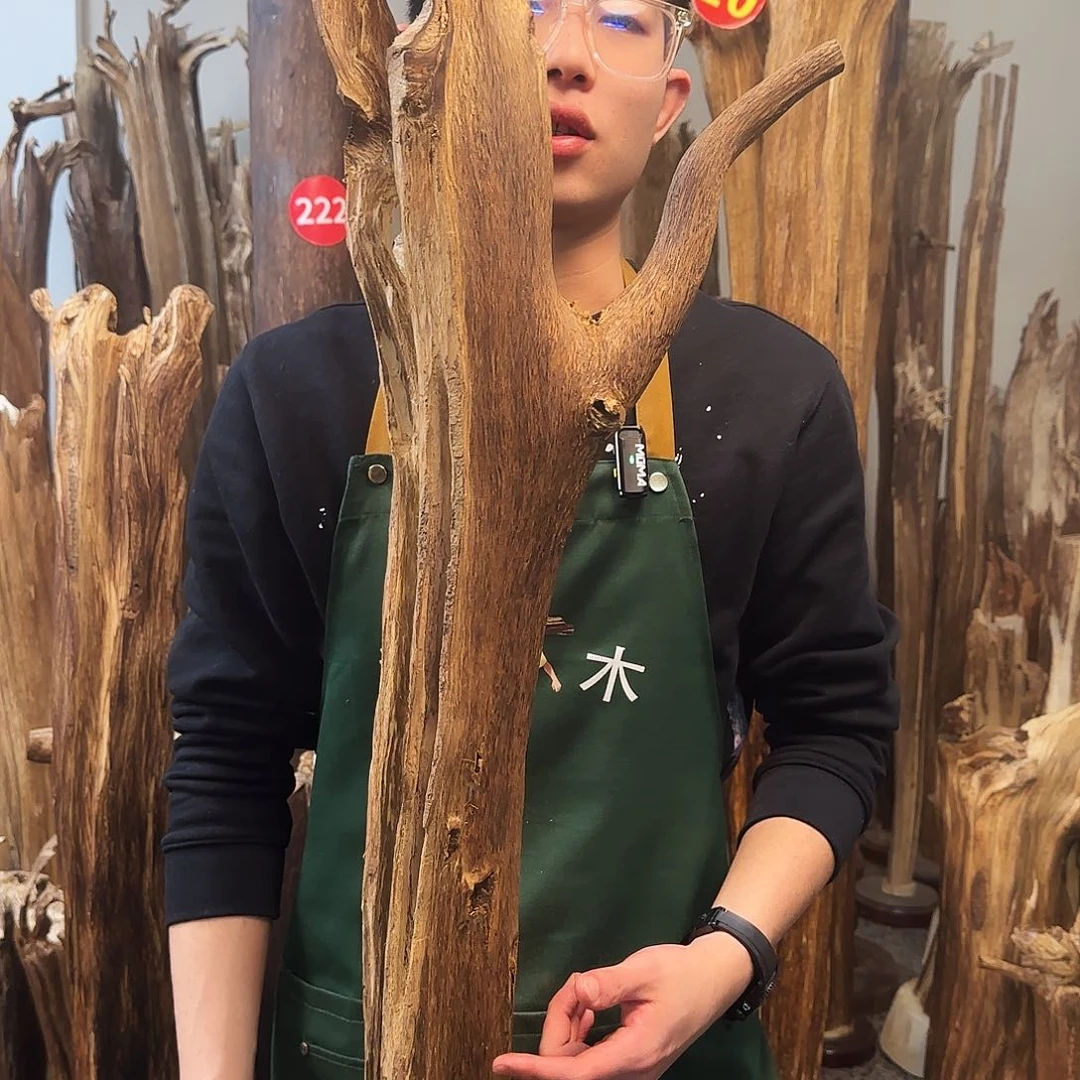 沉香摆件天然沉香原木摆件➕底座