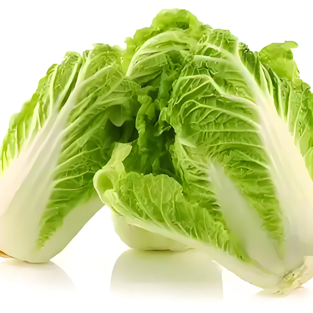 贵州高山农家露天种植大白菜白菜新鲜当季时令蔬菜脆甜