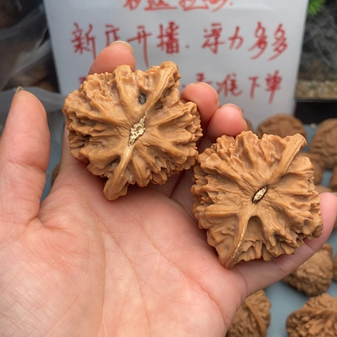 文玩核桃把件帝王18