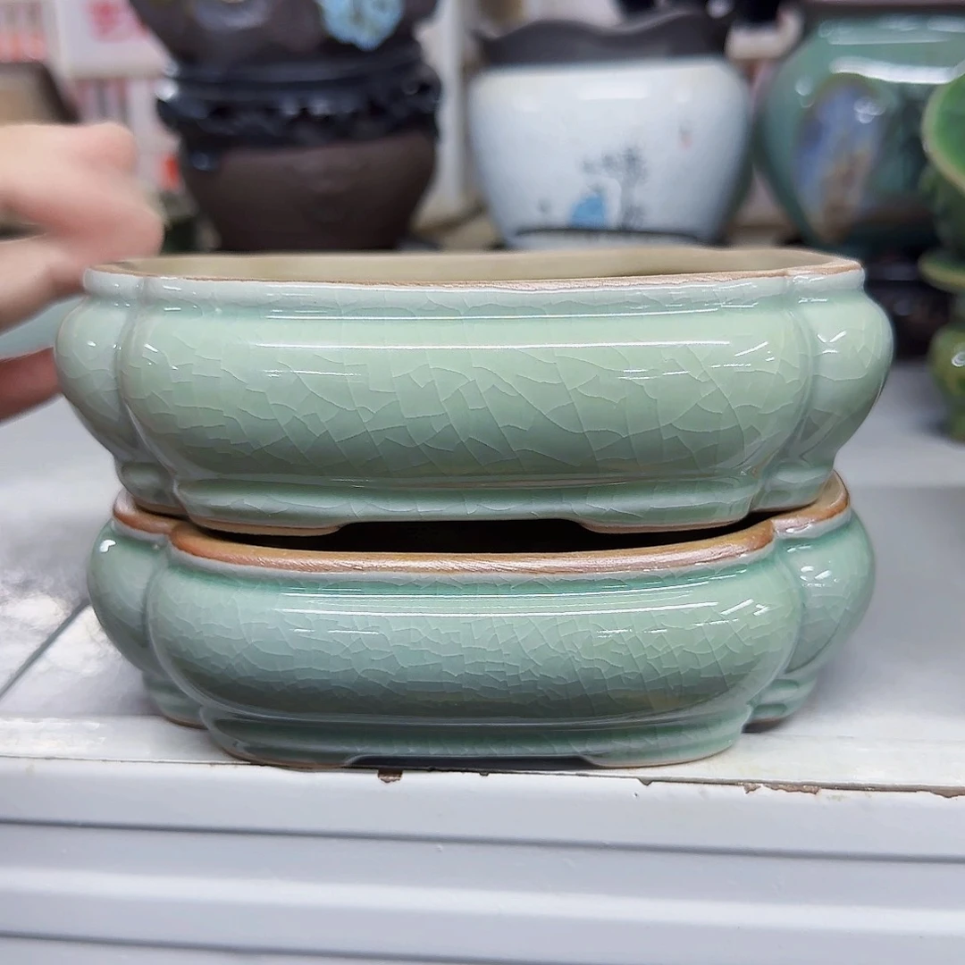 陶瓷花盆特价上新