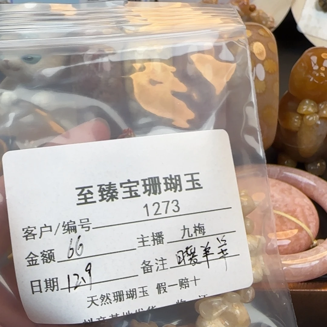 *****硅化珊瑚（珊瑚玉）未镶嵌颈饰