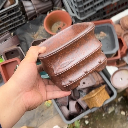 你是怎么说出这个问题我不清楚呢