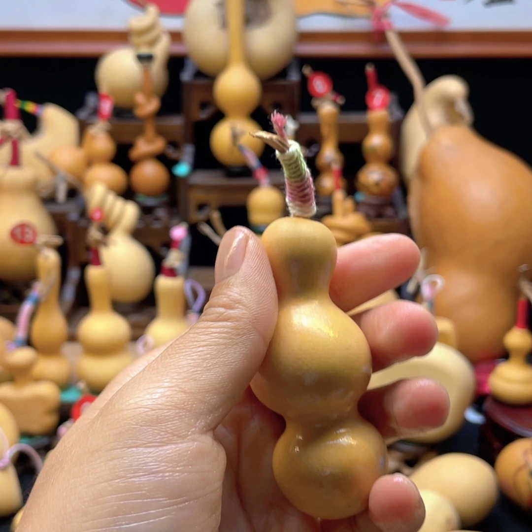 飞*大自然的秘密第十节第