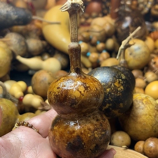 独*葫芦葫芦葫芦骨头