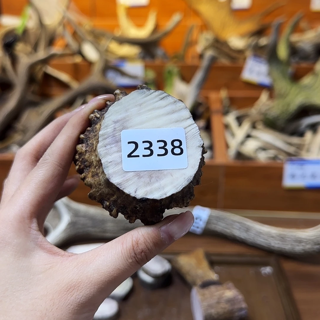 鹿骨手串/手链角帽2338