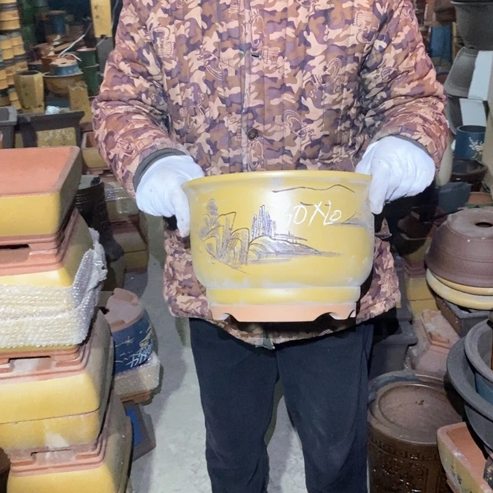 紫花盆紫花盆紫花盆紫花盆