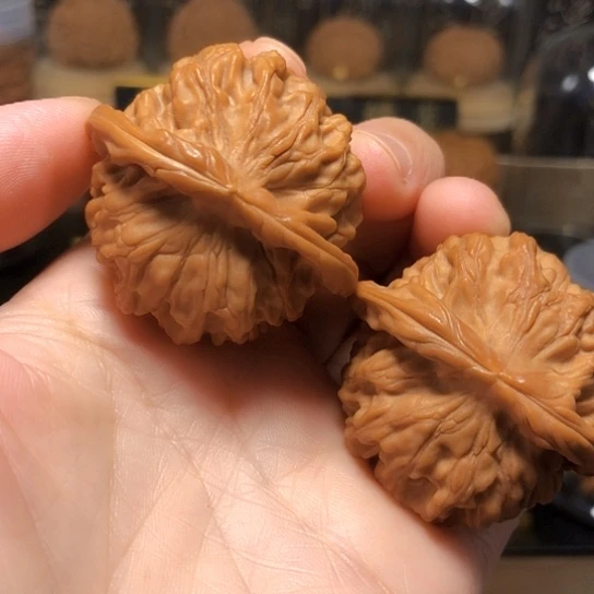 福利：天地狮子头全品