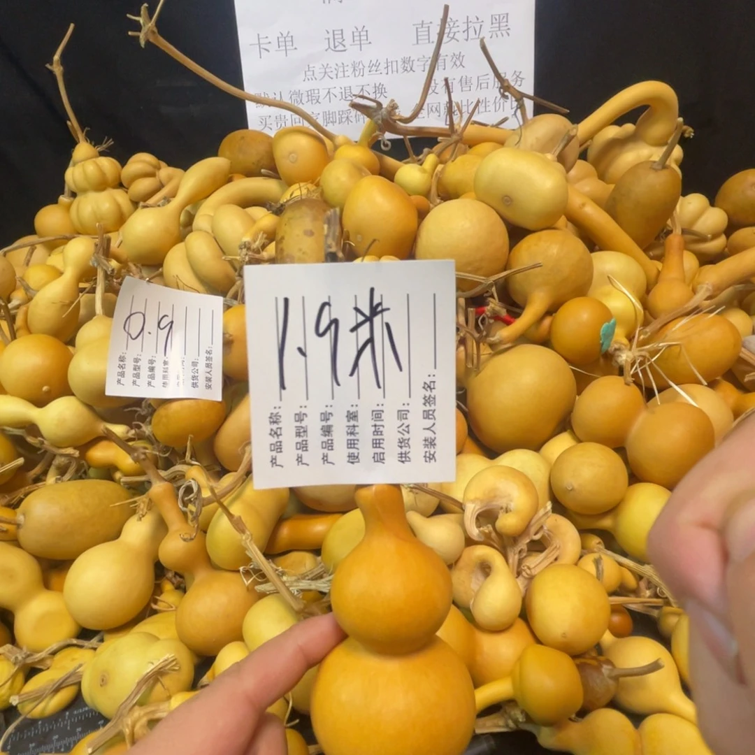 宇***宇666666666666666666