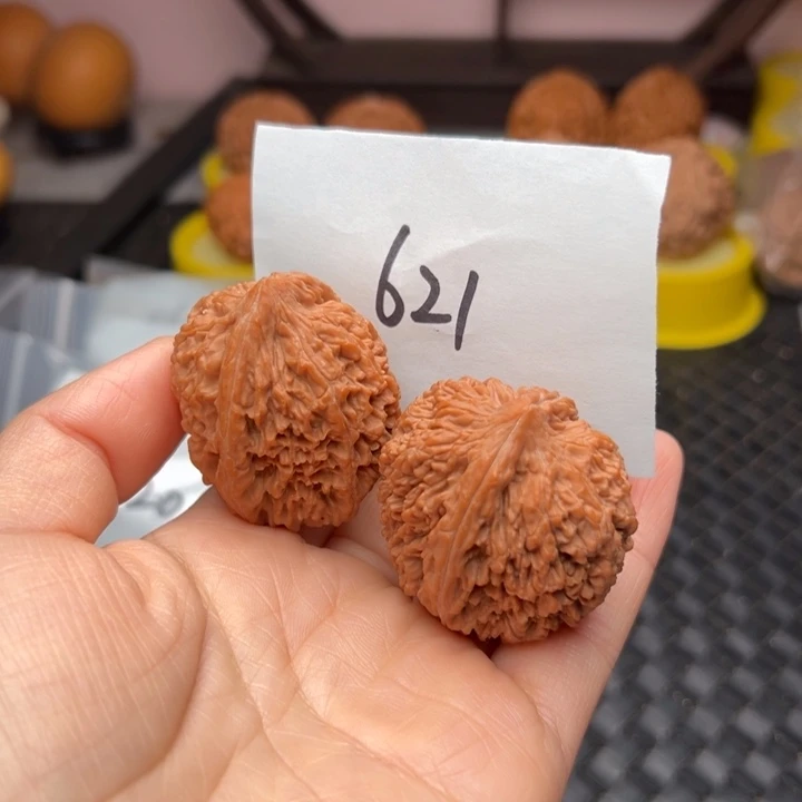 核桃36尺寸大蒜头