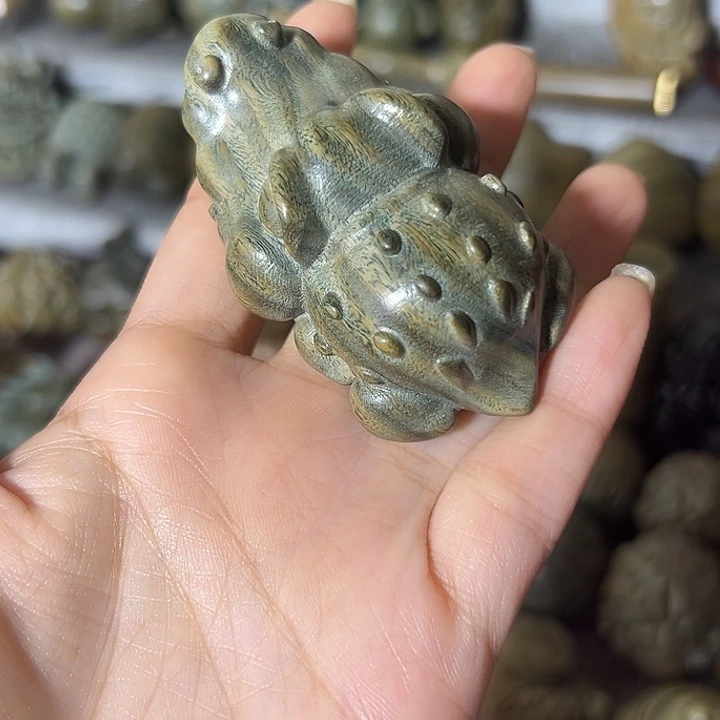 木阿****艺阿根廷绿檀鳄鱼